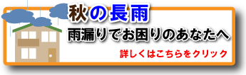 異常気象、暴風雨や積雪による雨漏りでお困りのあなたへ