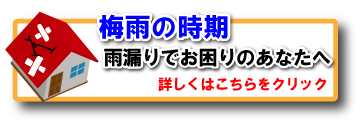 異常気象、暴風雨や積雪による雨漏りでお困りのあなたへ